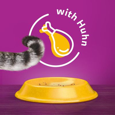 Whiskas 7+ Senior Huhn