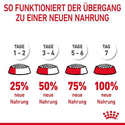Royal Canin Hairball Care