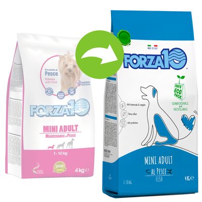 Forza 10 Mini Maintenance mit Fisch