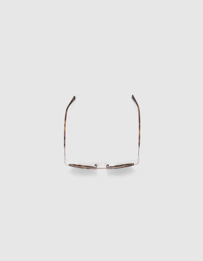Lunettes solaires écailles style pantos Homme
