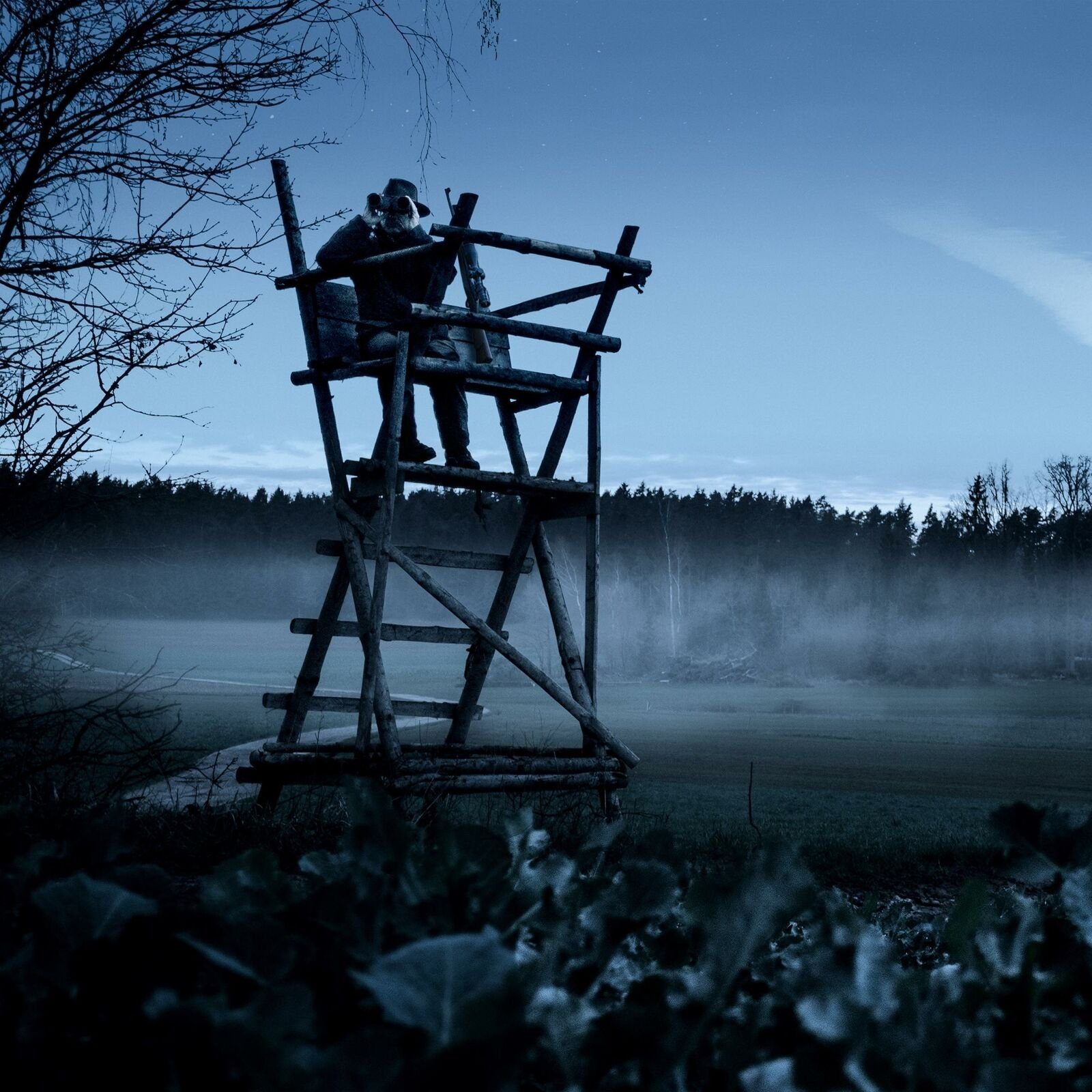 Steiner Nighthunter 8x56 Fernglas