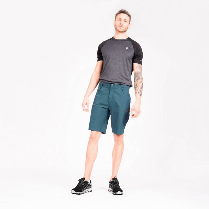 Dare 2B Tuned In II Shorts Herren