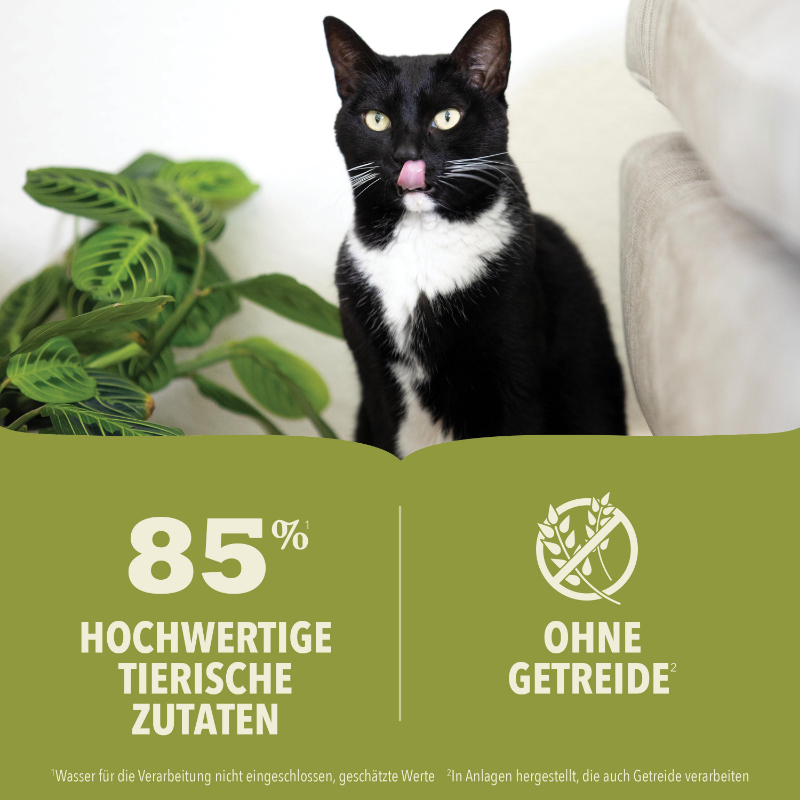 ACANA Nassfutter ACANA Premium Pâté Huhn 24x85 g