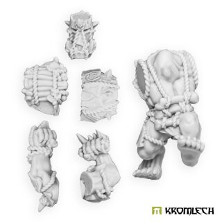 Champi-Orcs Brawler (1)