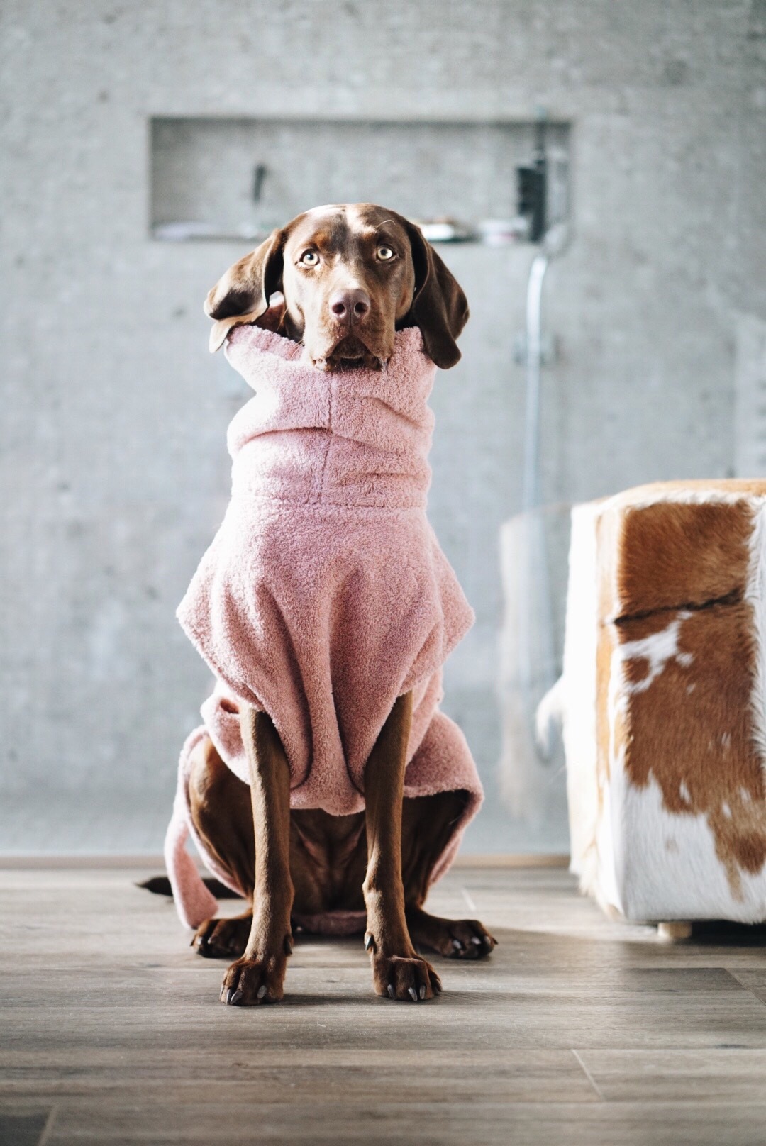 Lills Hundemäntel Lills Lill's Hundebademantel 