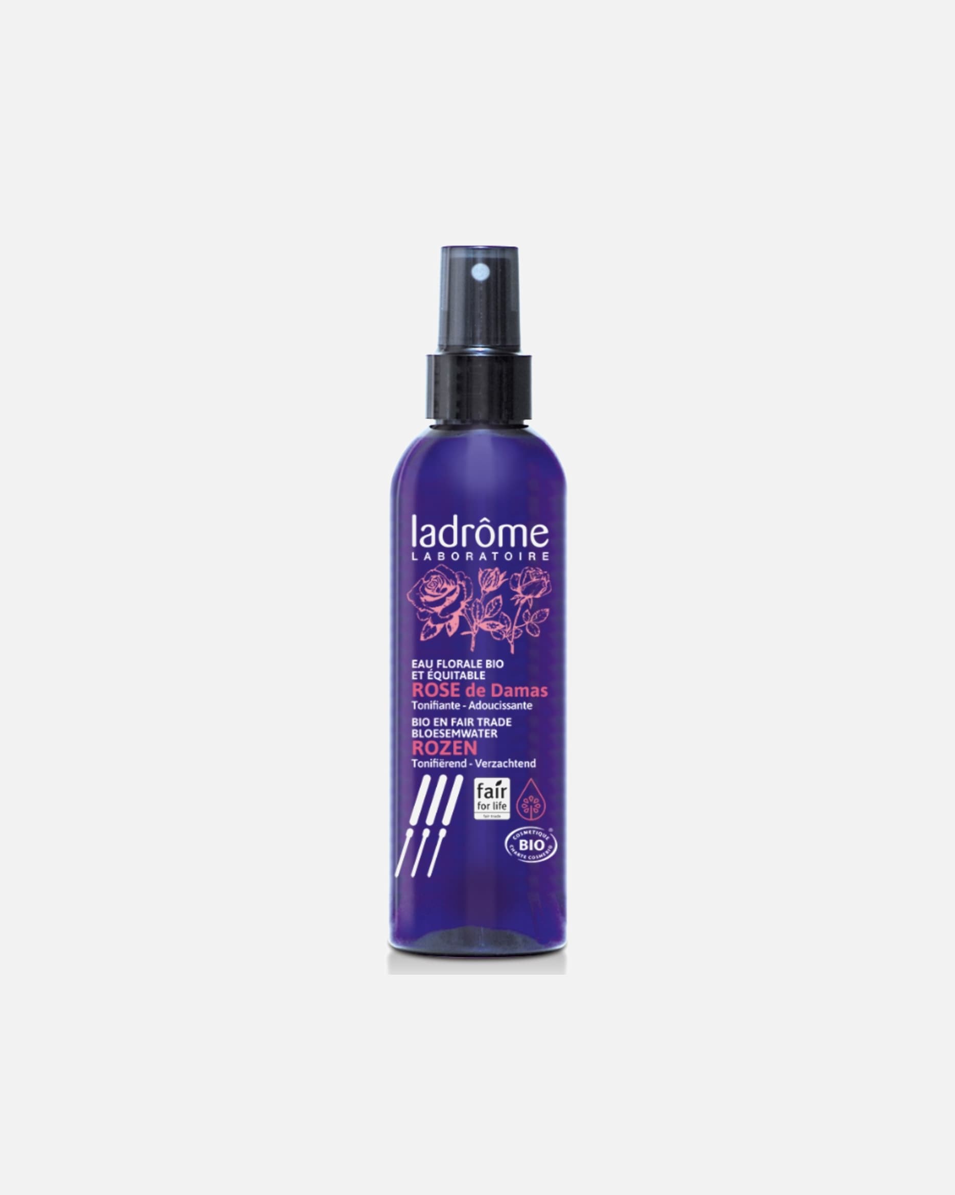 Rose de damas ladrôme