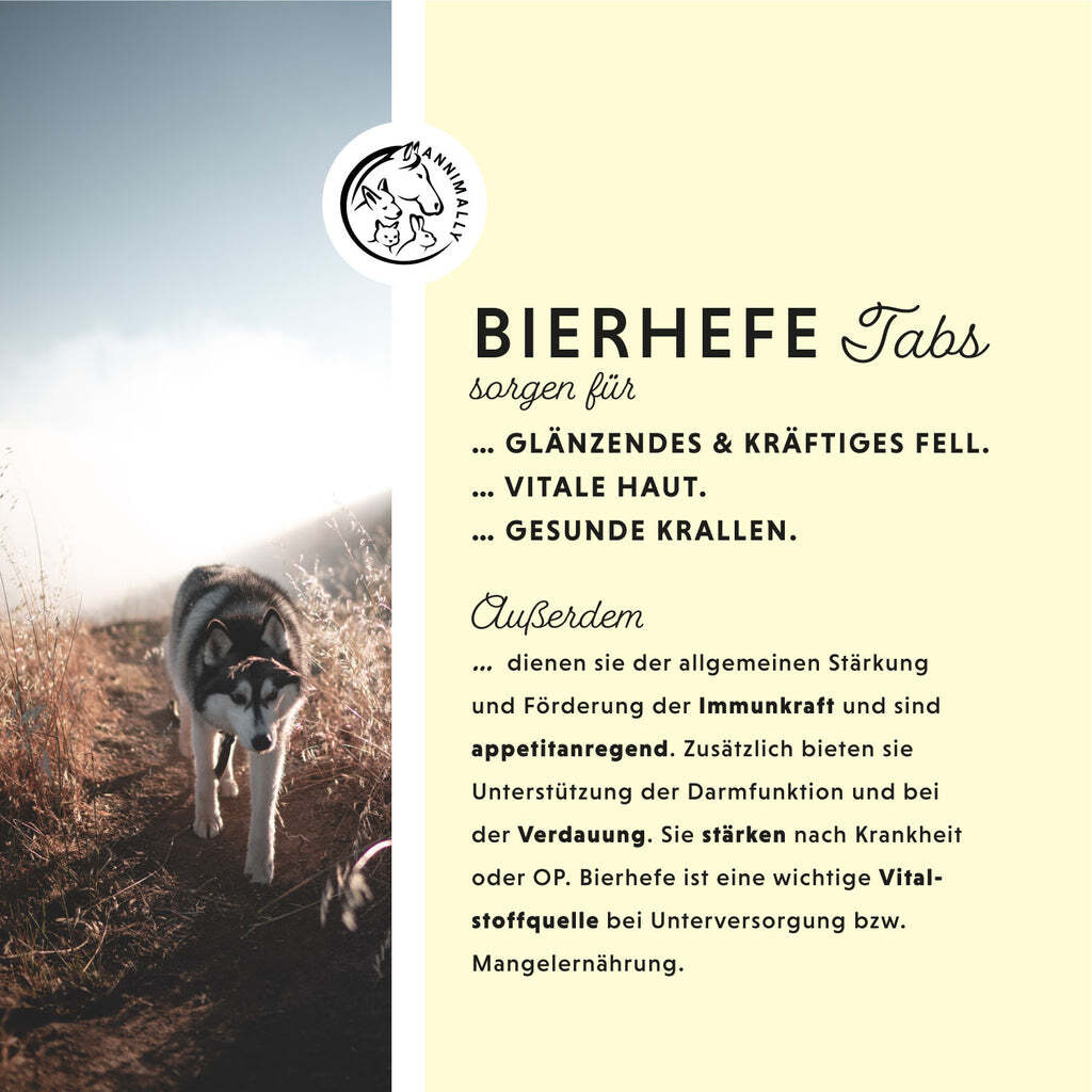 Annimally Ergänzungsfutter & Aufzucht Annimally Bierhefe Tabletten
