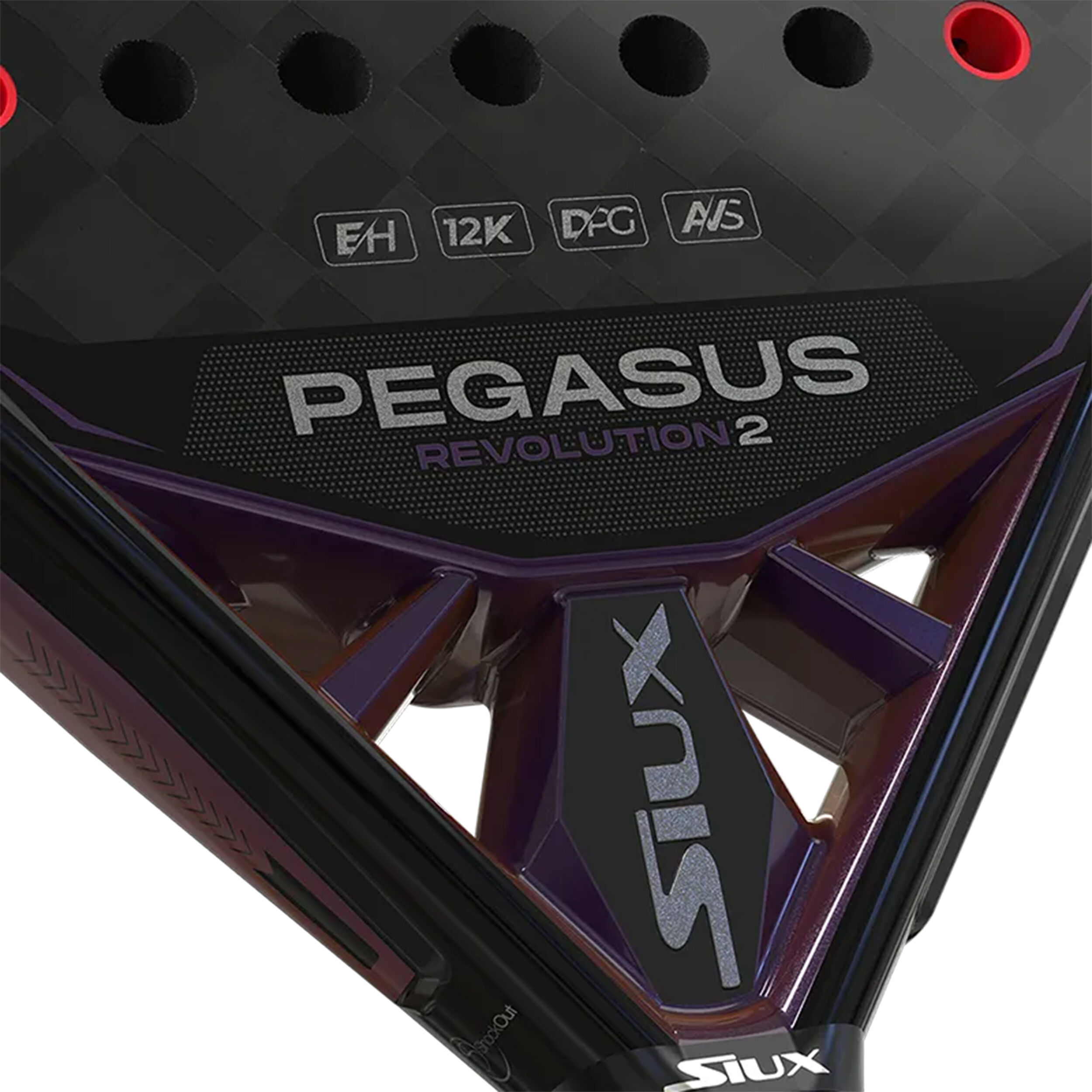 Pegasus Revolution II Pro