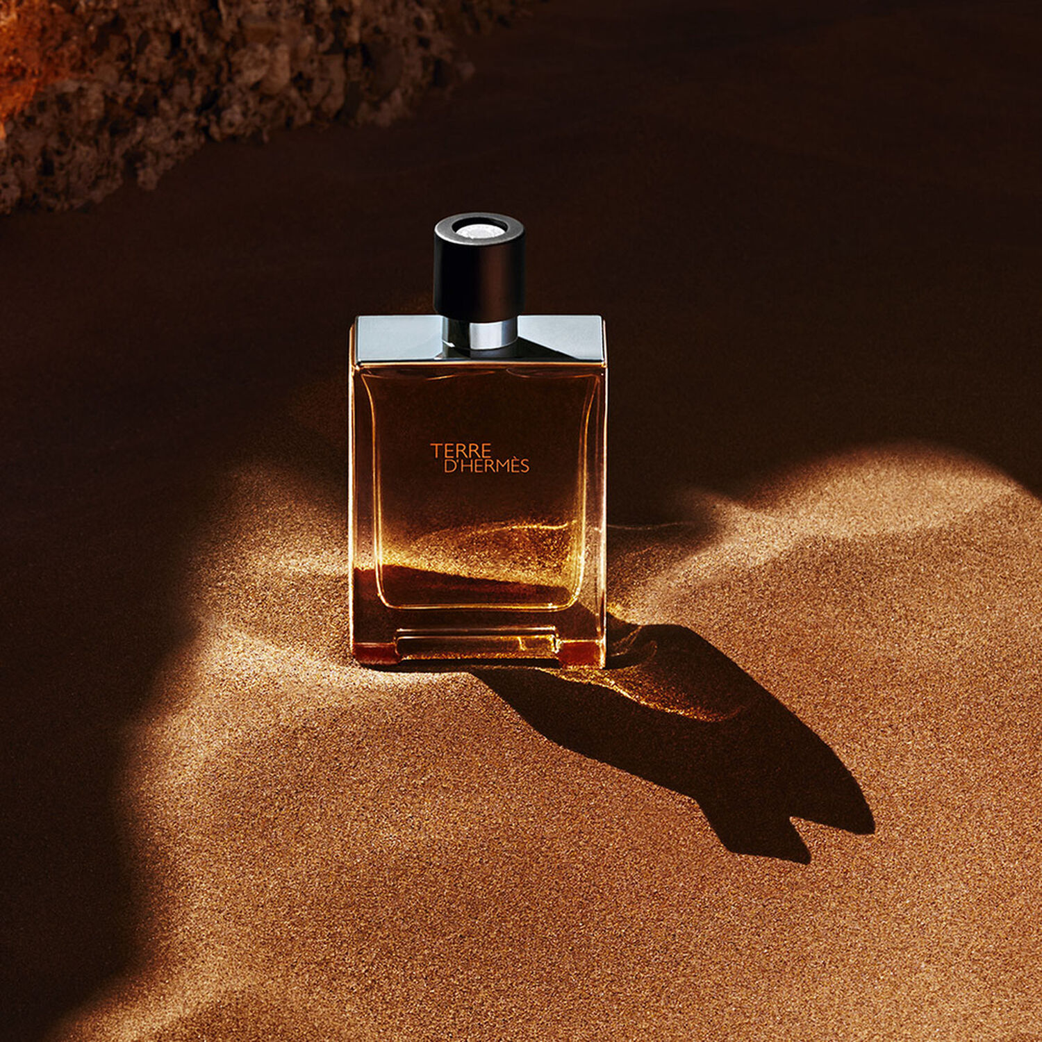 Hermès Terre d'Hermès Eau de Toilette