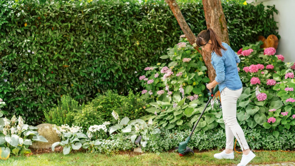 Vyžínač Bosch Green 06008C1H01 EasyGrassCut 23 v krabičce