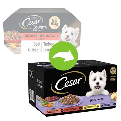 Cesar Juicy Hotpot Mixed Selection