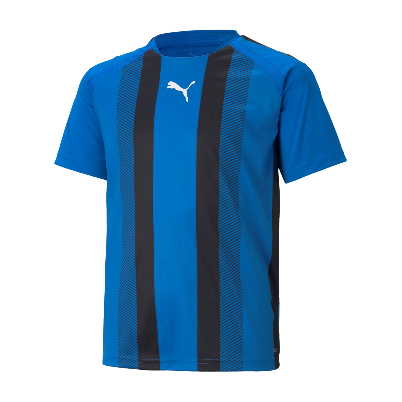 PUMA teamLIGA Striped Trikot Kids Blau Schwarz F02