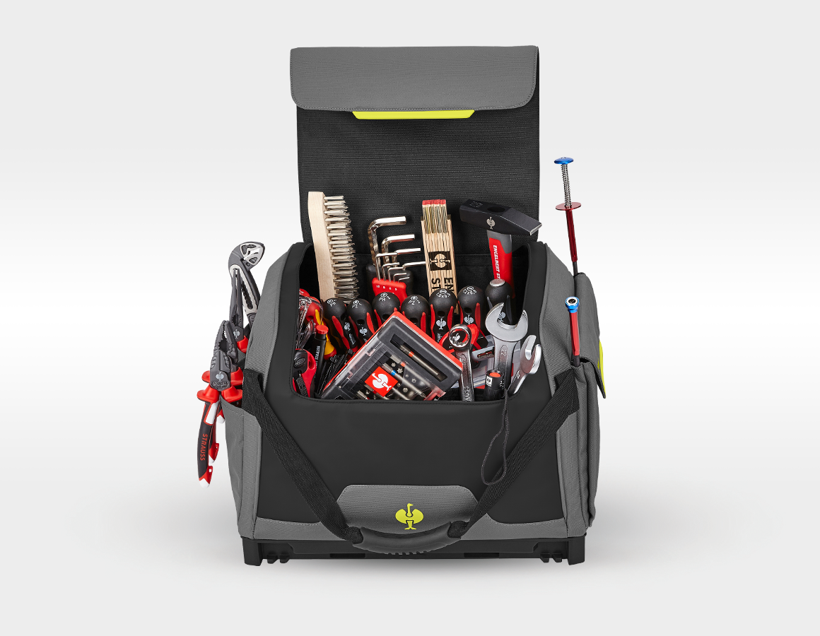 Werkzeug-Set Allround Profi inkl. STRAUSSbox