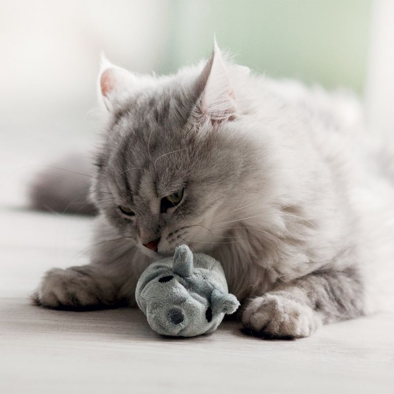 Aumüller Katzenspielzeug Baldi-Maus zu TOP-Preisen