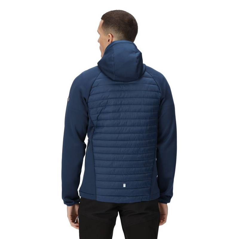 Regatta Andreson VIII Funktionsjacke Herren