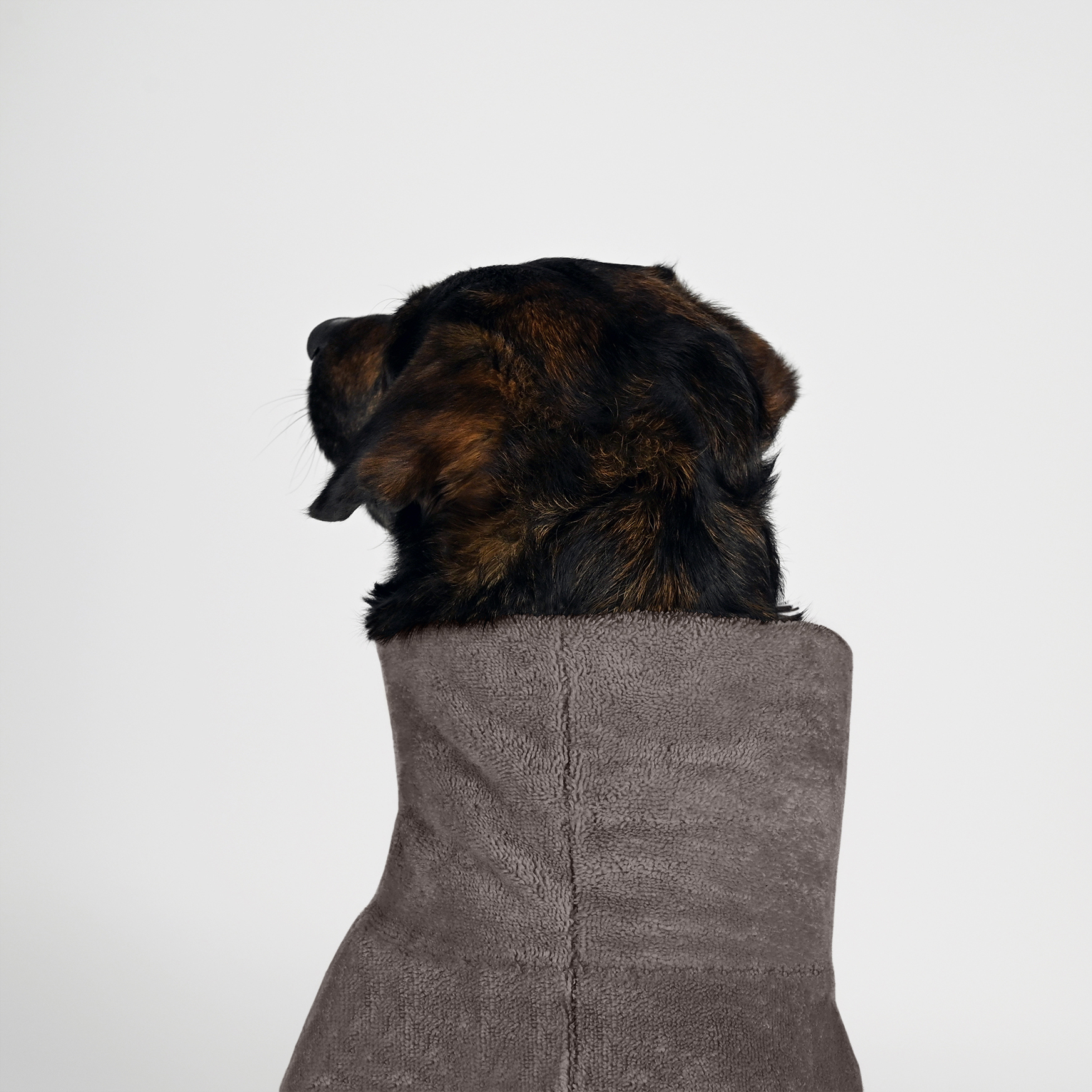 THE DOG IDEA Hundemäntel THE DOG IDEA Bademantel Every Taupe M
