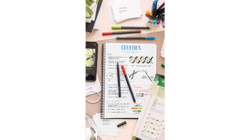 FABER-CASTELL Finepen Grip 0,4mm 10er Etui