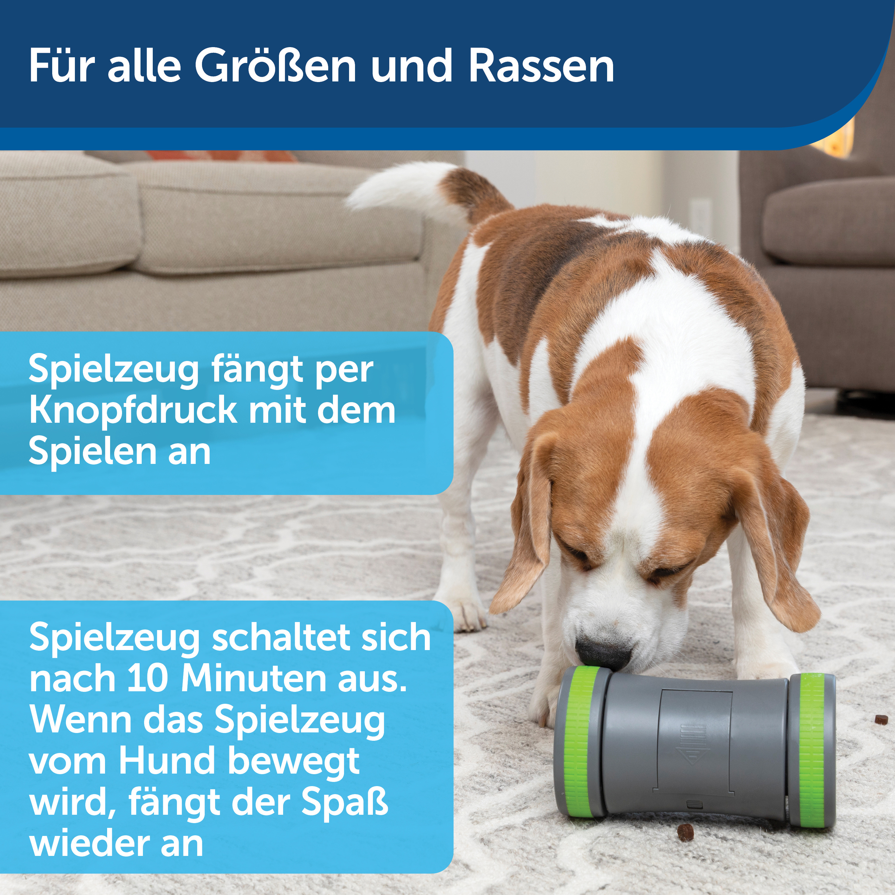 PetSafe Intelligenzspielzeug PetSafe Selbstbewegendes Belohnungsspielzeug Kibble Chase