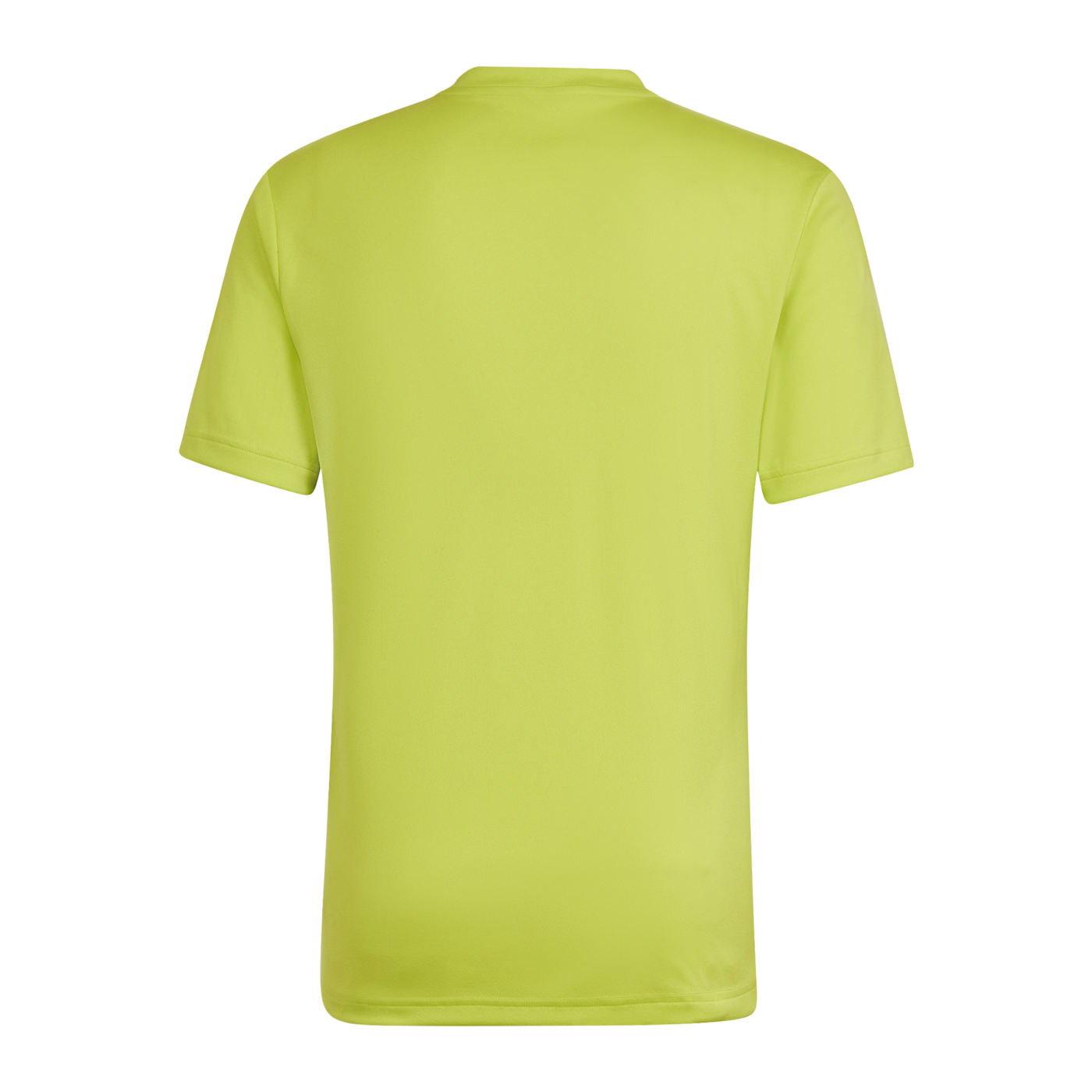 adidas Entrada 22 GFX Trikot Grün Grau