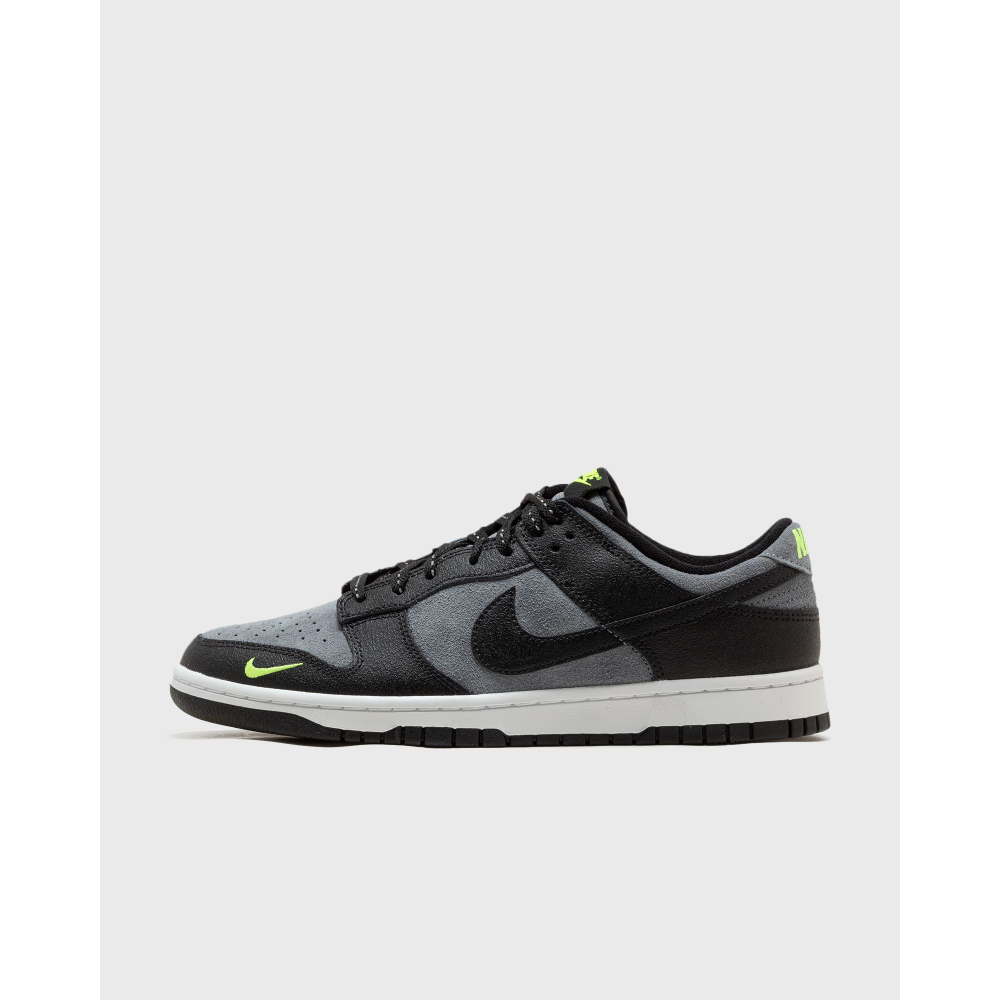 Nike Dunk Low FQ2205-001 / grau