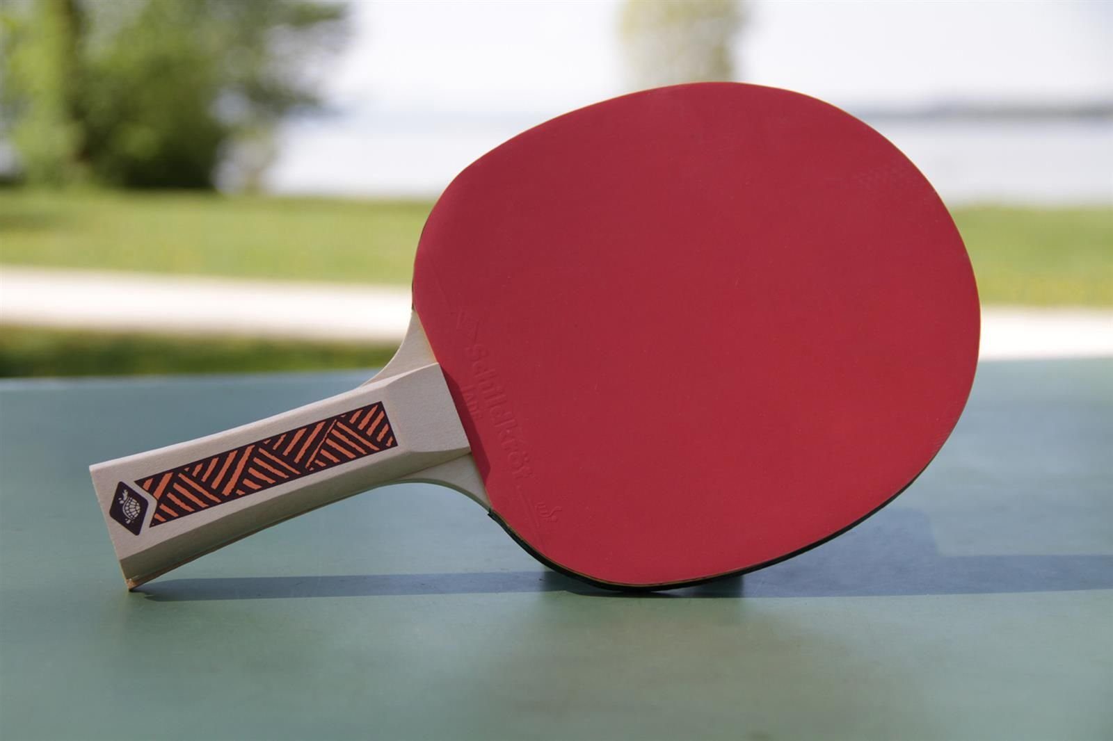 Donic-Schildkröt Tischtennisschläger Champs Line 300, Tischtennis Schläger Racket Table Tennis Bat