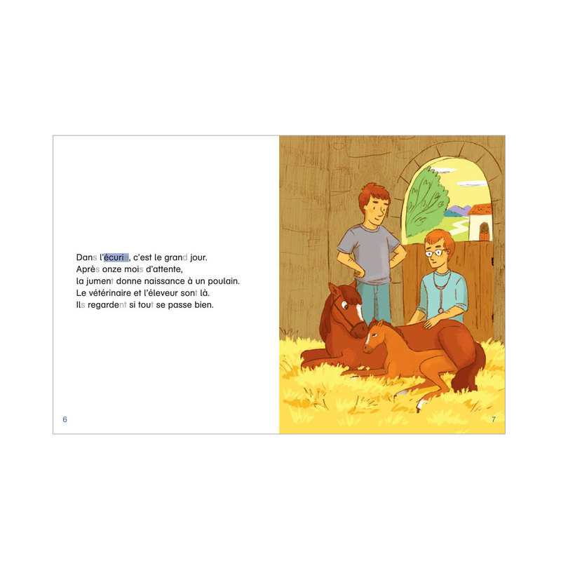 Livre Je suis en CP Le doc des chevaux - Flammarion