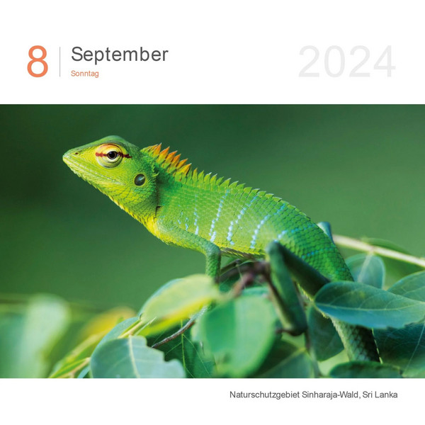 FARBEN DER ERDE 2024 - Kalender