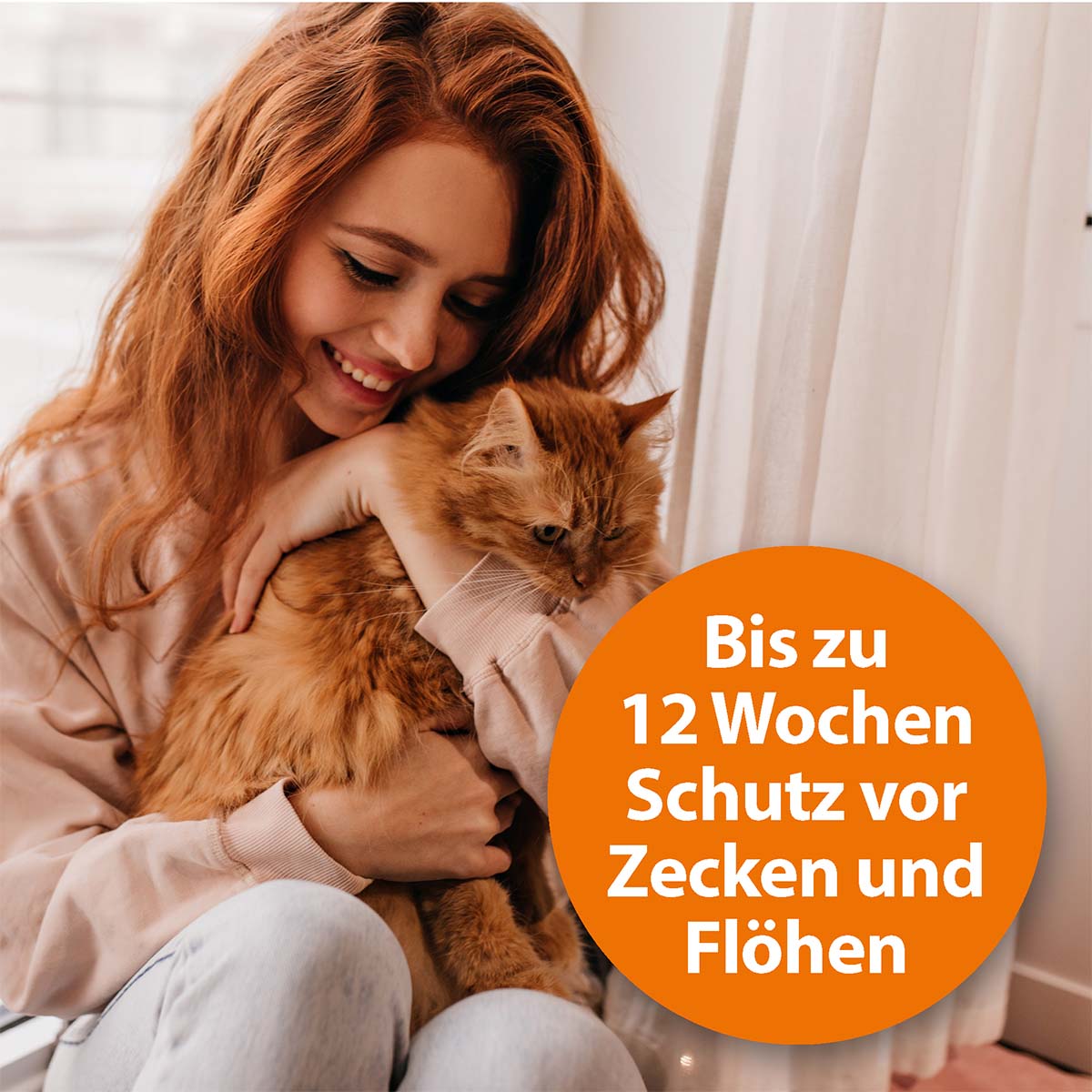 Der Ardap Spot-On schützt Katzen sicher vor Zecken und Flöhen.
