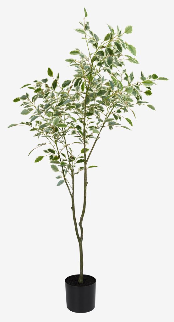 GUNNULF Sztuczna roślina GUNNULF H150cm z doniczką