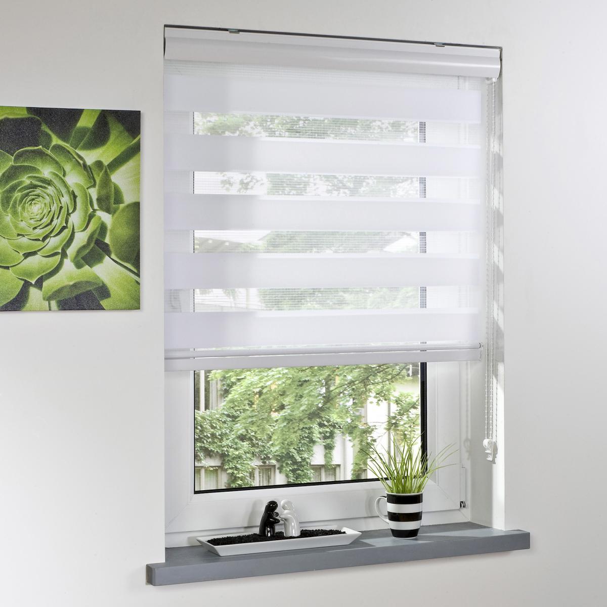 Bella Casa Duo-Rollo mit Blende, Rollo, lichtdurchlässig, Sonnenschutz, 60 x 160 cm weiß