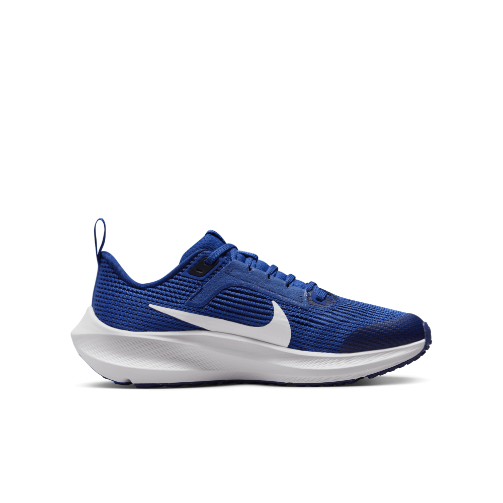 Nike Air Zoom Pegasus 40 DX2498-400 / blau