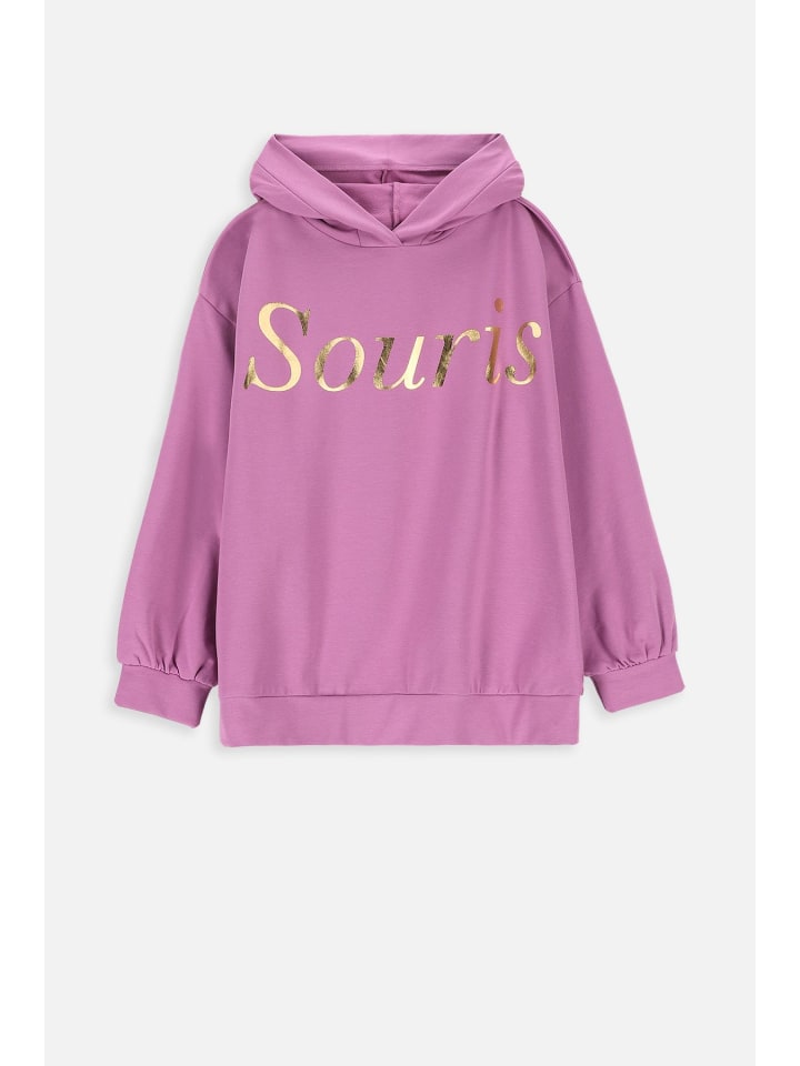 Coccodrillo Sweatshirt in violett günstig kaufen 104
