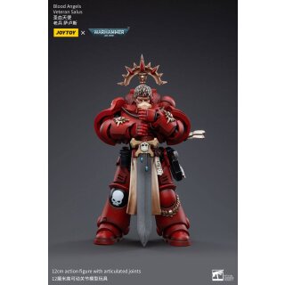 Warhammer 40k Actionfigur: Blood Angels Veteran Salus
