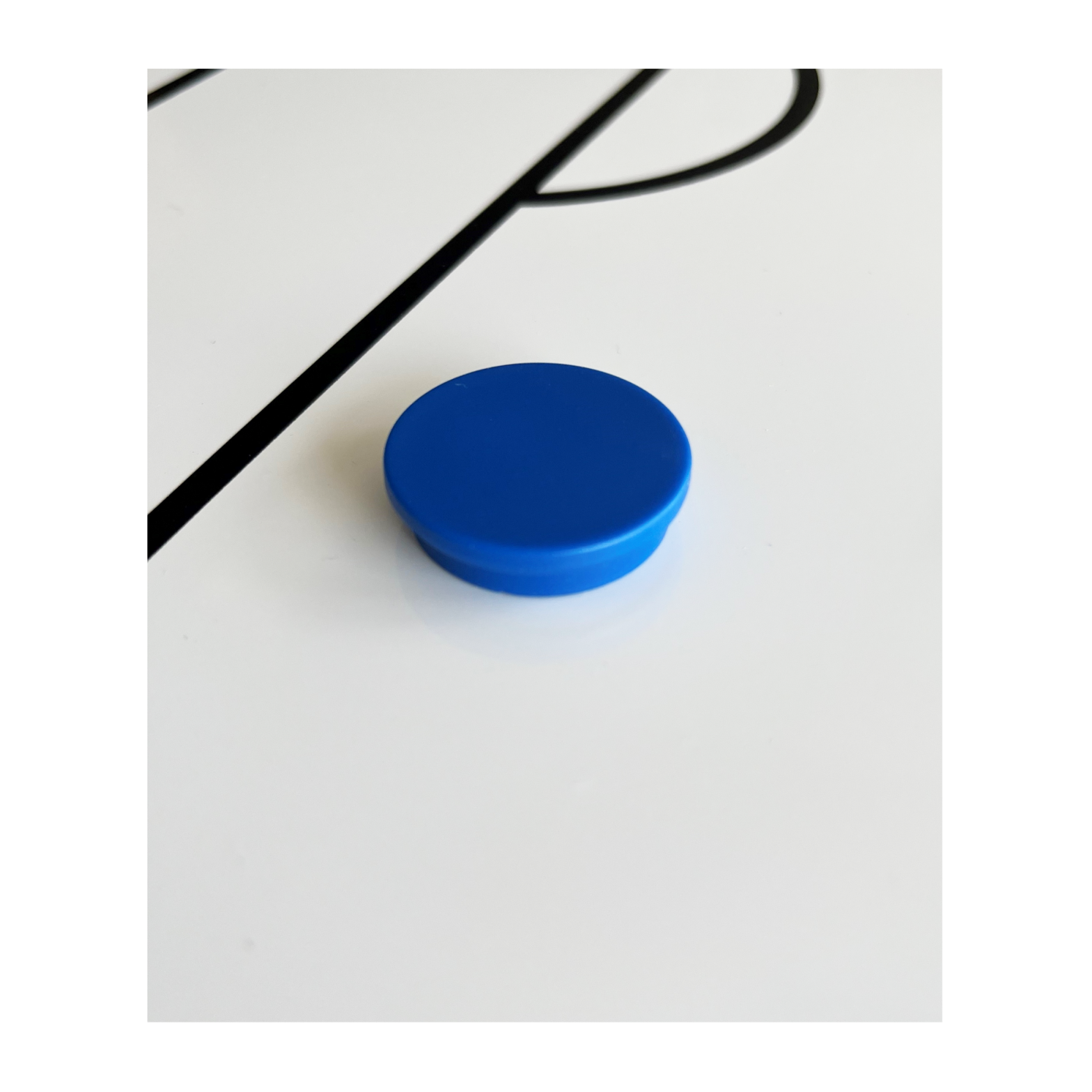 BFP TOP COACH Rundmagnet 10er Set 30mm Blau