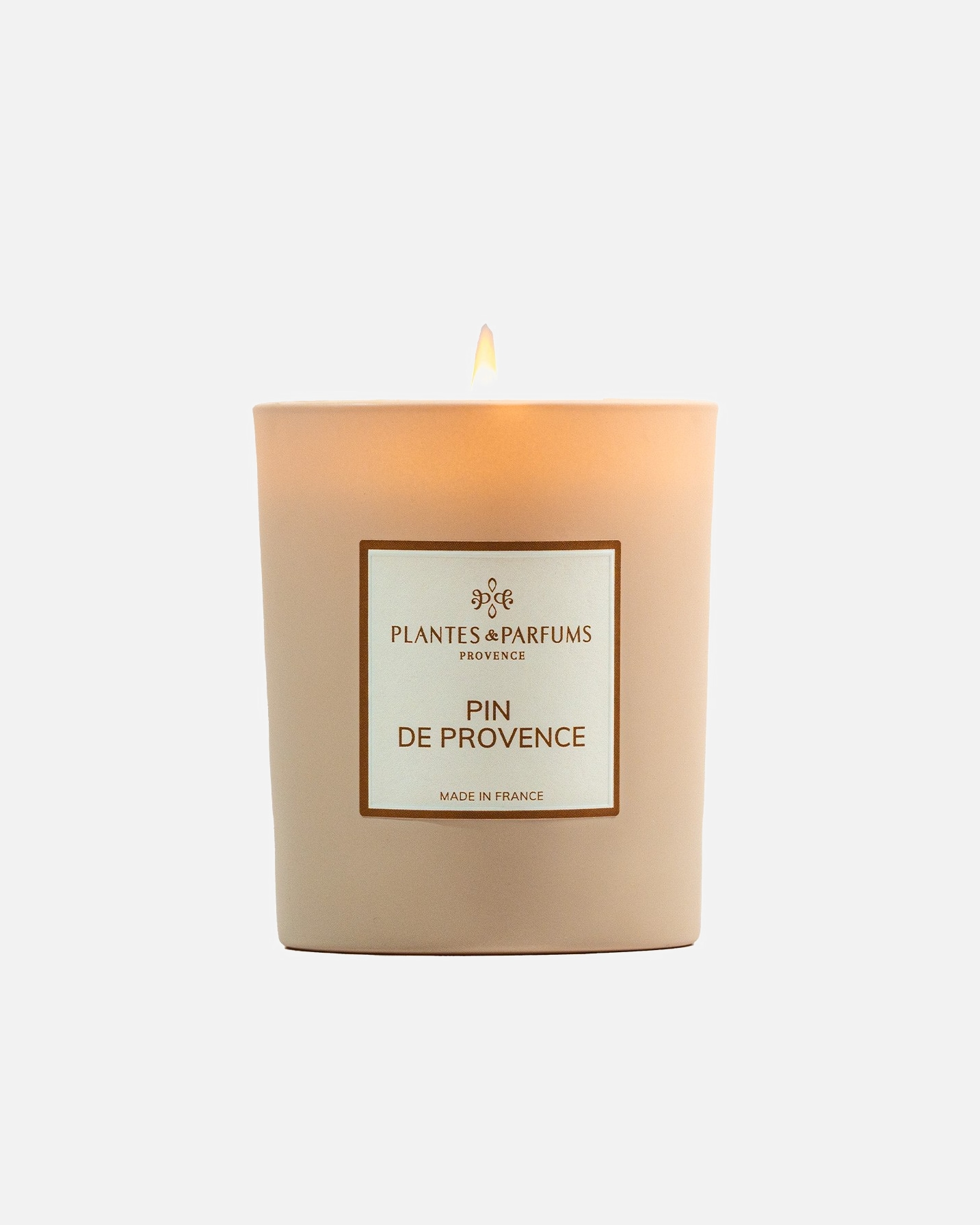 Rastliny a parfumy Borovica Provence
