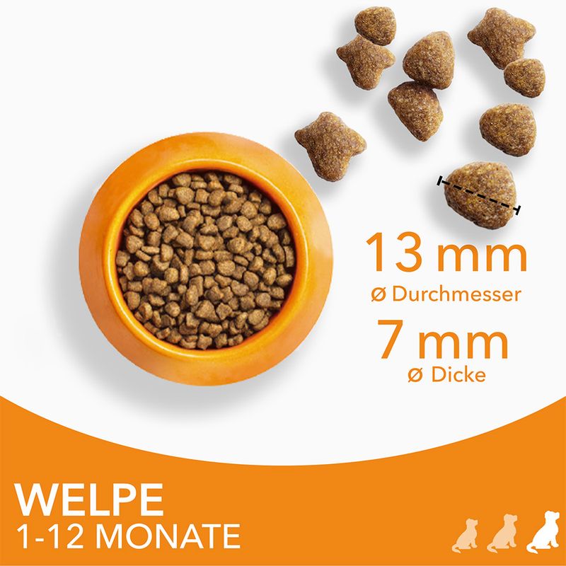 IAMS Advanced Nutrition Puppy Large mit Huhn
