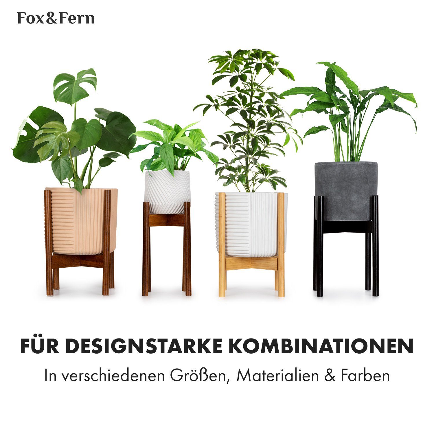 Fox & Fern Hochbeet Thorn