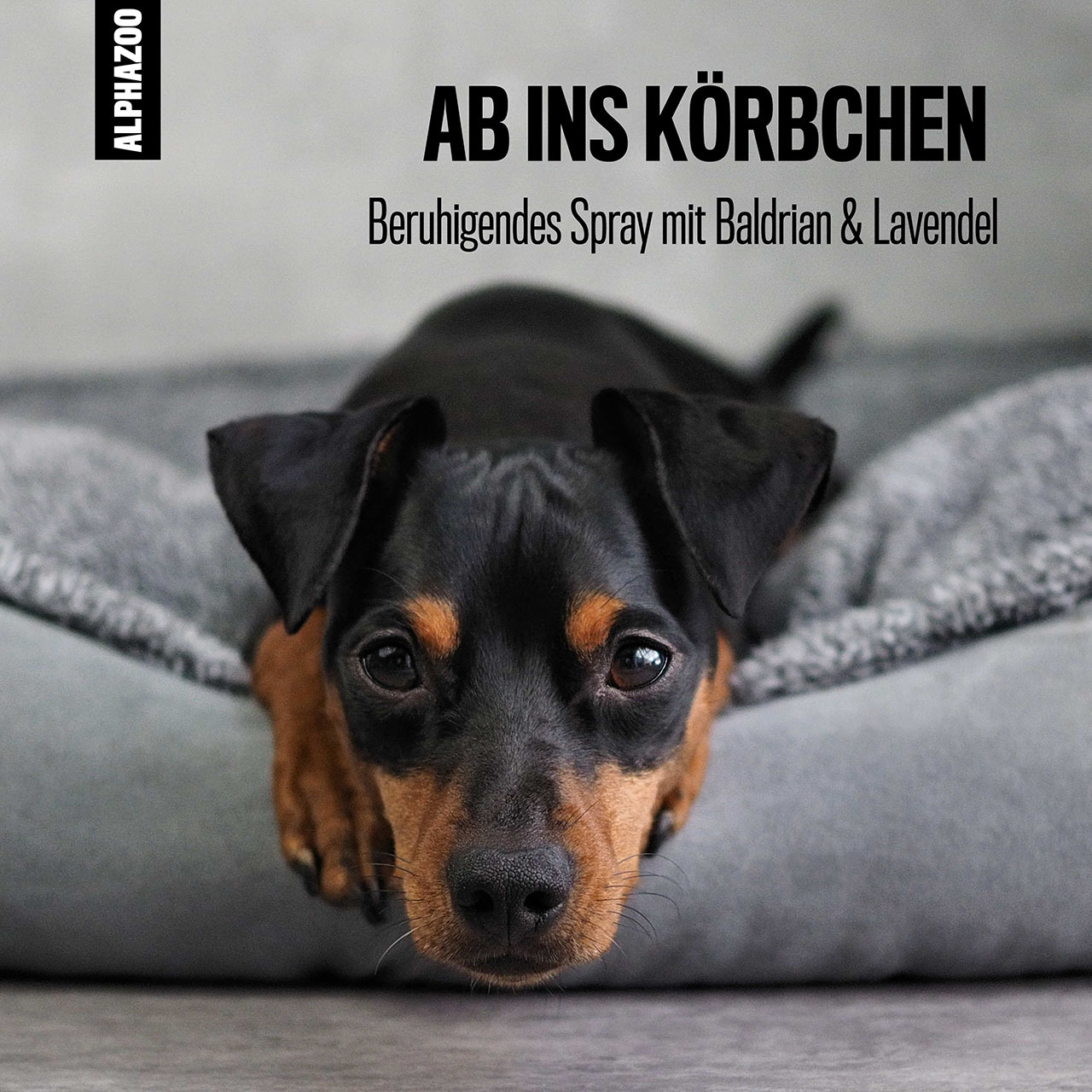 ALPHAZOO Beruhigungsmittel ALPHAZOO Seelenruhe Beruhigungsspray für Hunde I Beruhigungsmittel mit Baldrian 200 ml