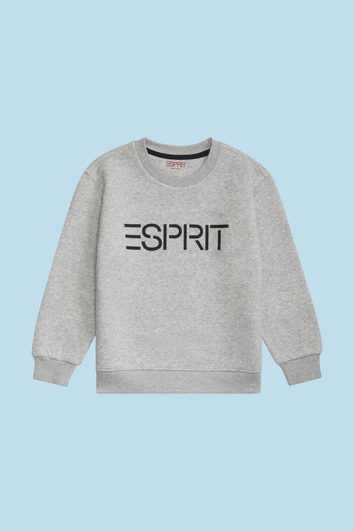 Logo-Sweatshirt mit Rundhalsausschnitt