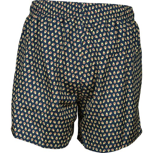 HERREN BEACH SHORTS FUNDAMENTALS ALLOVER