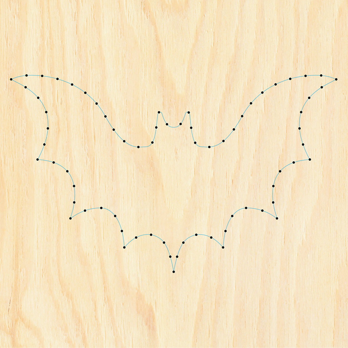 Nagelbild Fledermaus, NB5