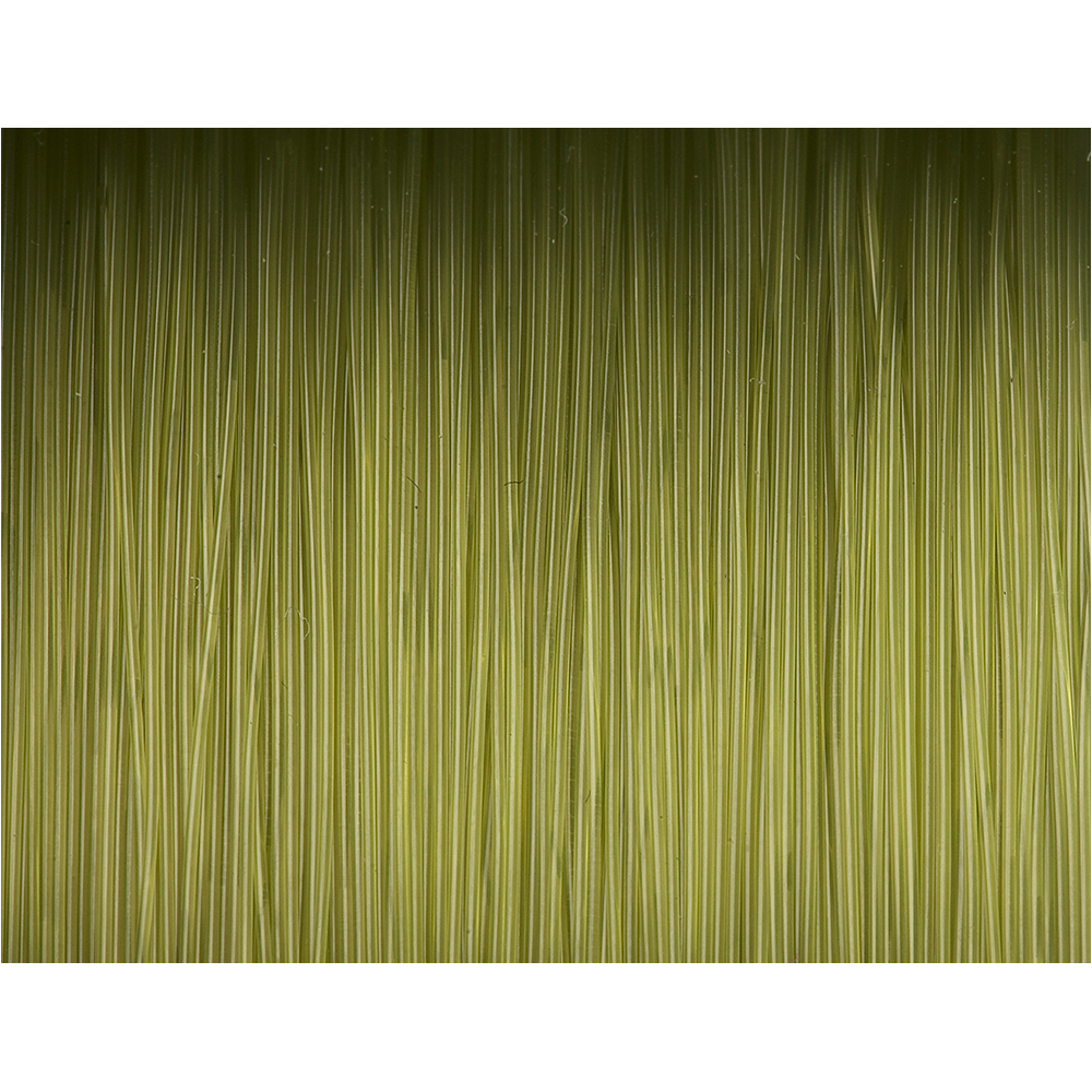 Prologic Angelschnur Density Carp Mono (grün)