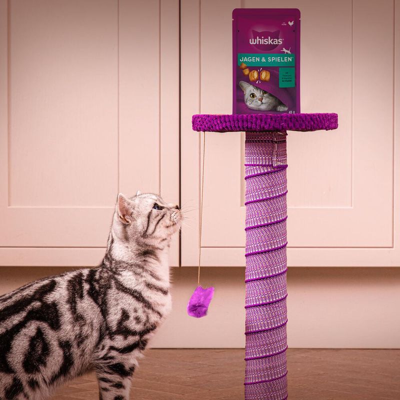 Whiskas Snacks Pounce & Play zu TOP-Preisen