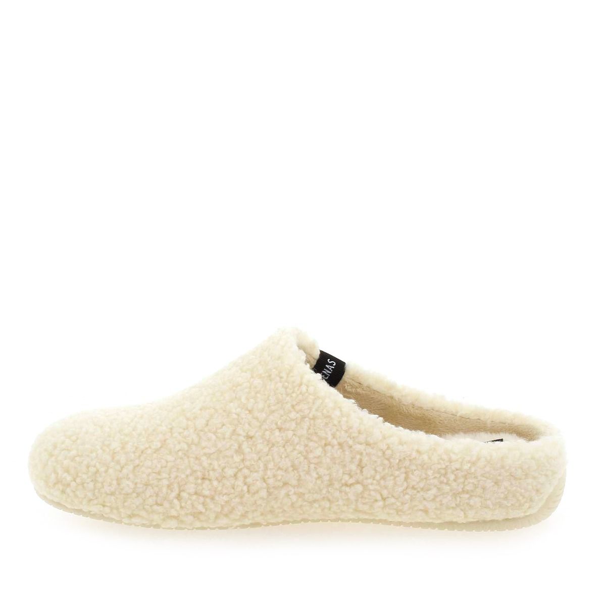 Verbenas  YORK - Blanc