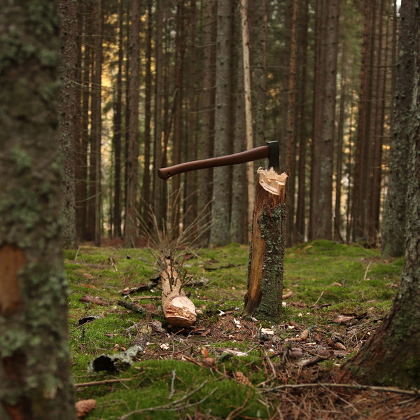 FOREST AXE - Axt