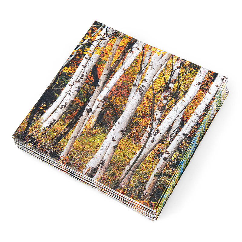 Vie Eco Servietter 20-pk 33x33 cm