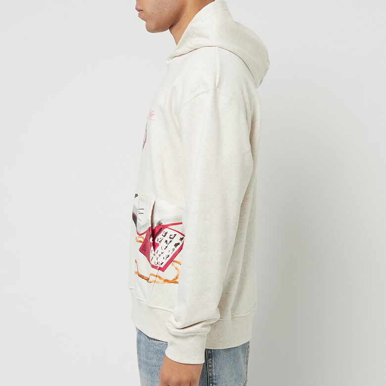 JORDAN Flight Artist Fleece PO oatmeal heather/sail/university red