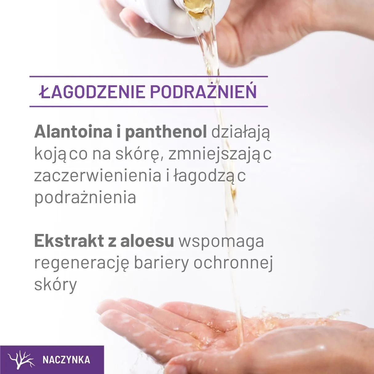Sylveco Dermo Καταπραϋντικό Μικελιακό Υγρό