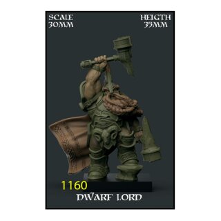Dwarf Lord 30mm