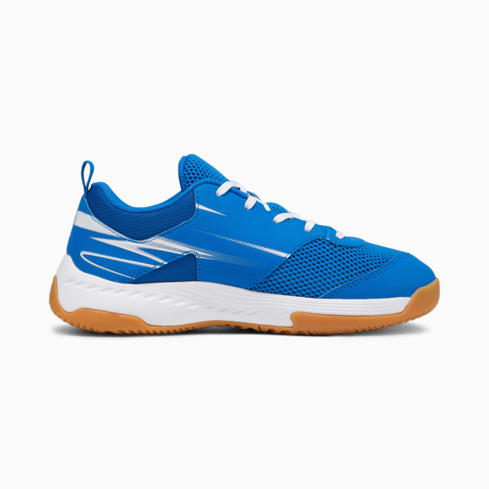 PUMA Varion II Indoor 107342-03 / blau